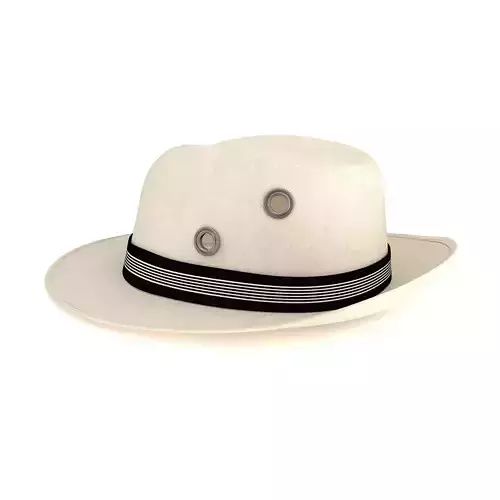 Fedora Hat Isolated