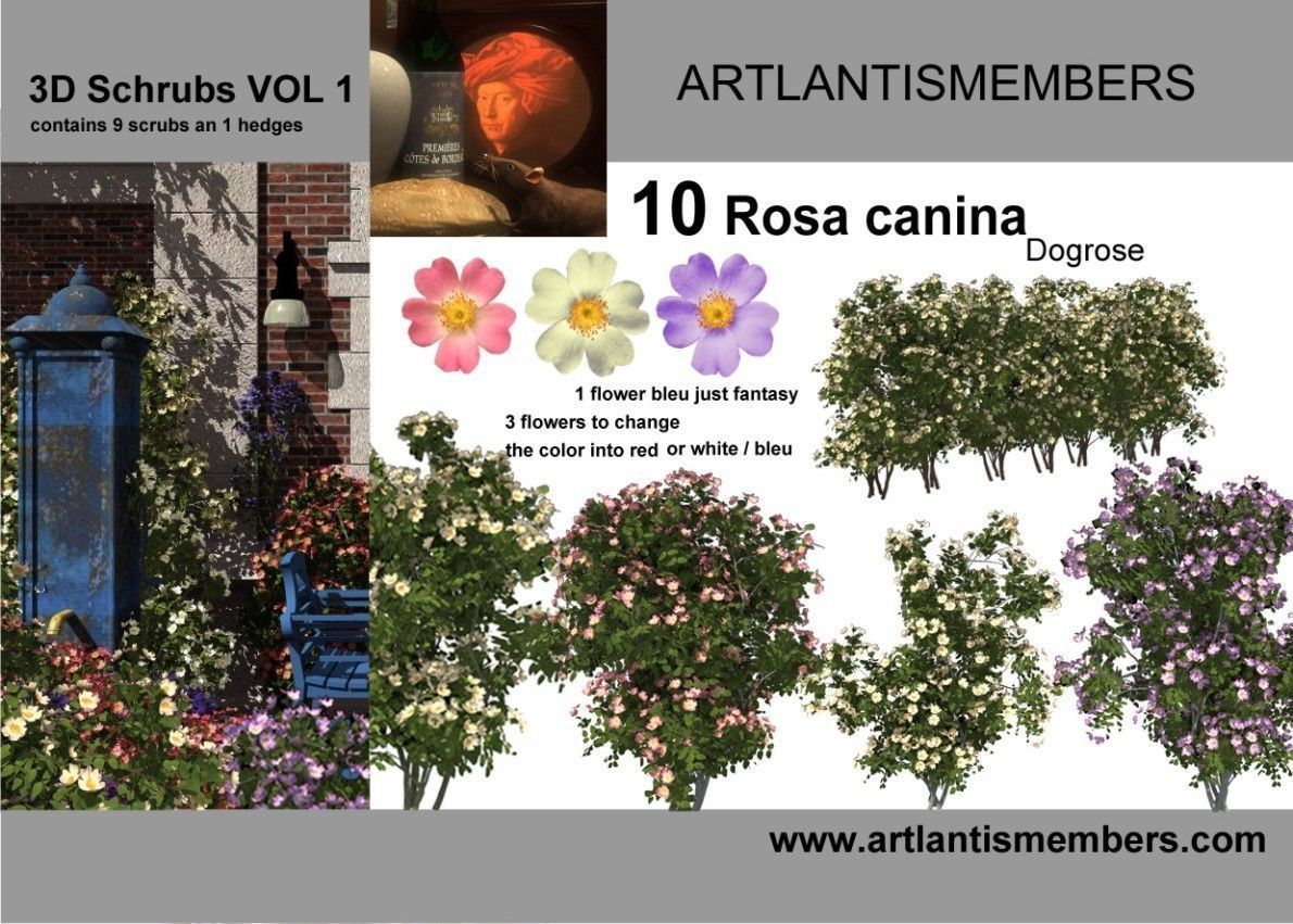 plant collection 3d models2 3D model_4