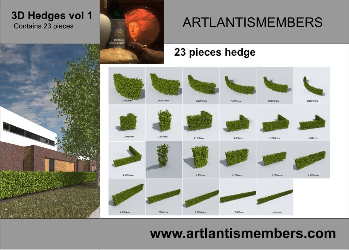 plant collection 3d models2 3D model_3