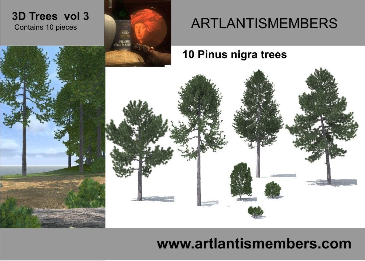 plant collection 3d models2 3D model_1