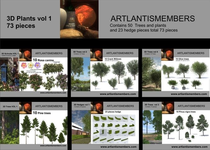 plant collection 3d models2 3D model