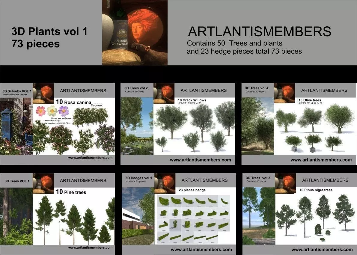 plant collection 3d models2 3D model_0