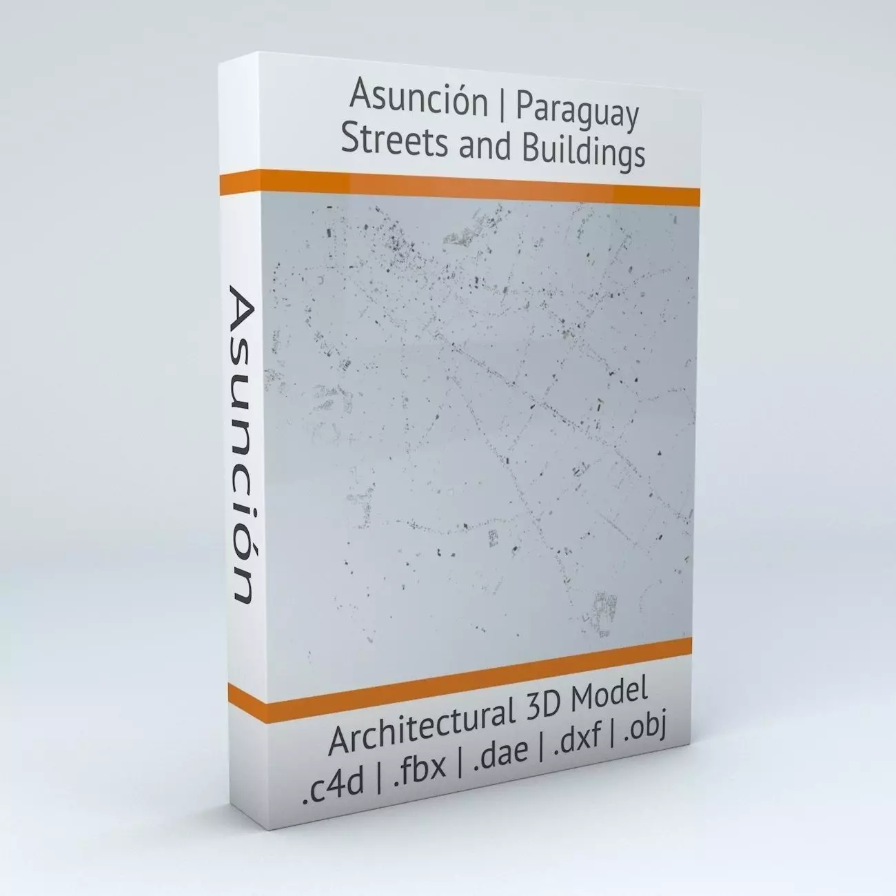 Asuncion Streets and Buildings 3D model_0