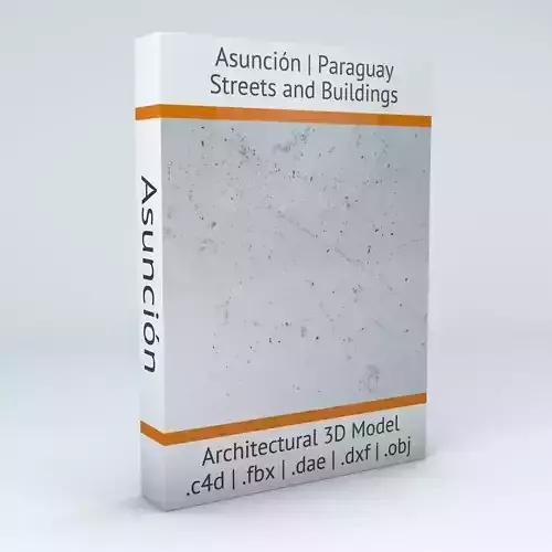 Asuncion Streets and Buildings 3D model