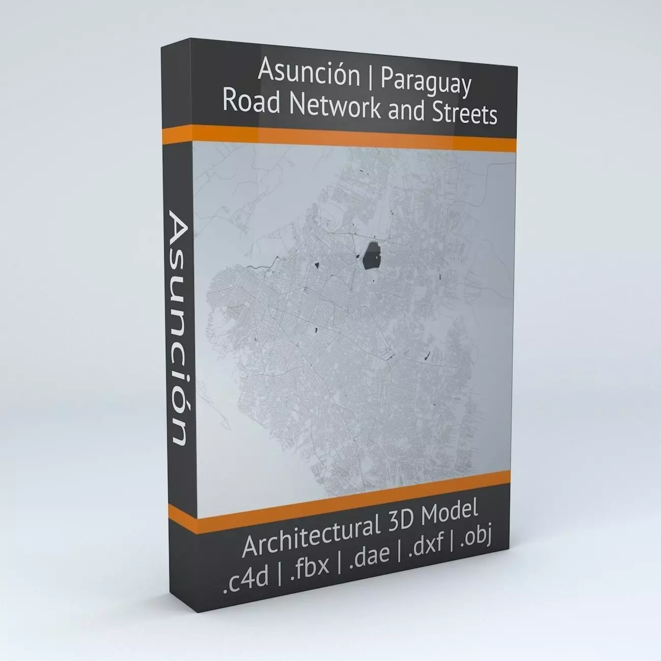 Asuncion Road Network and Streets 3D model_0