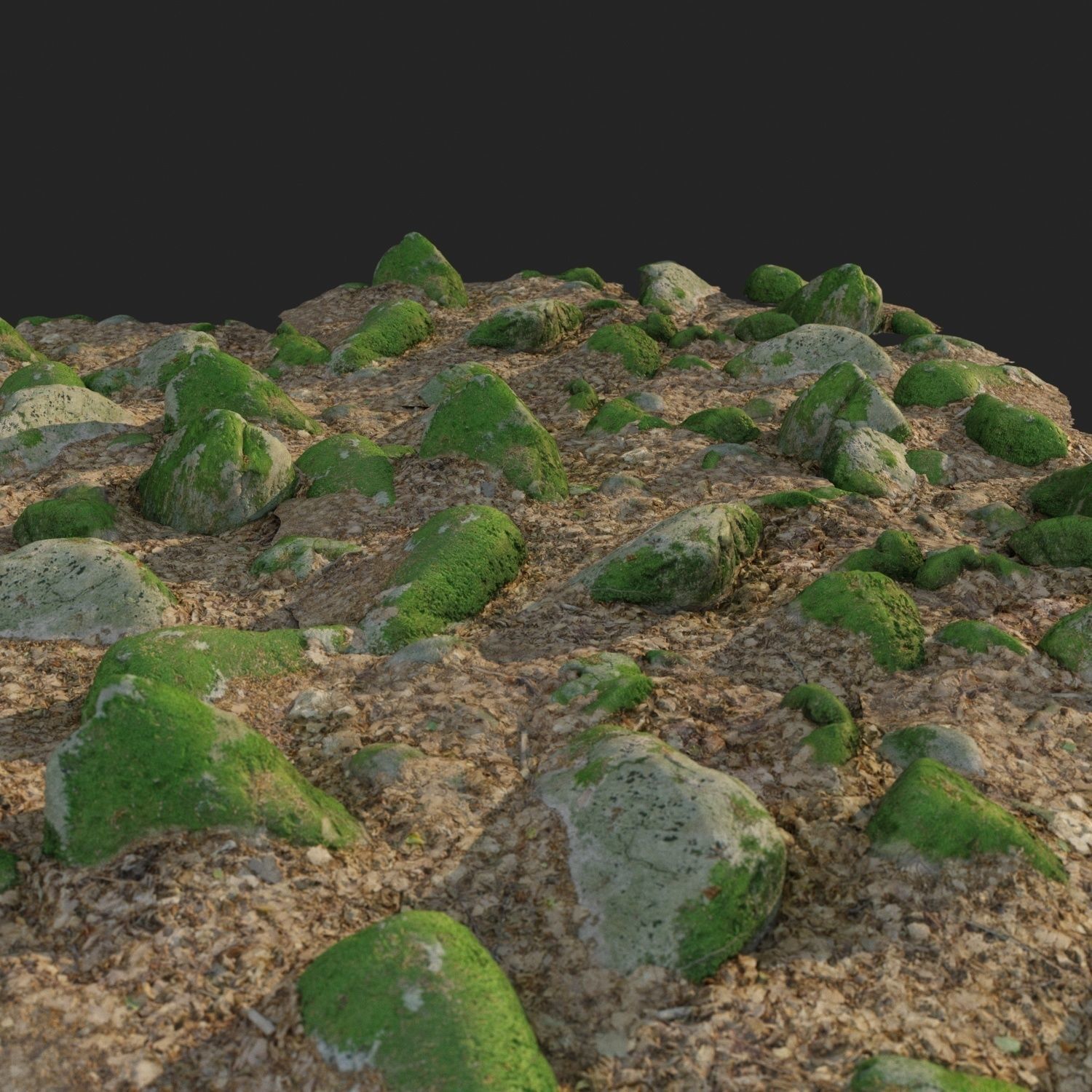 3d scanned nature stone 016 Low-poly 3D model_1