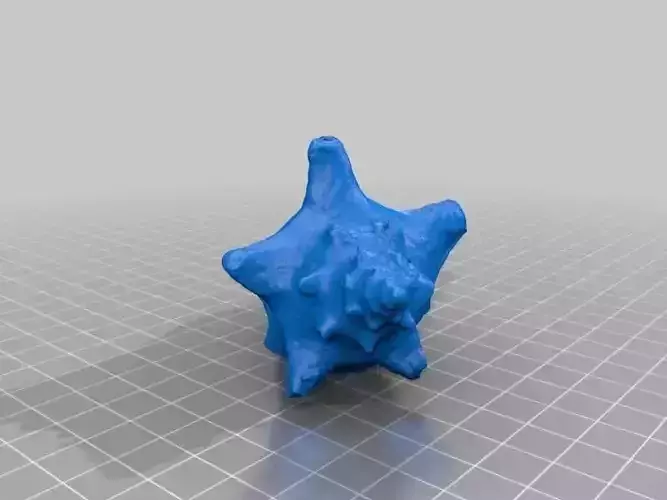 3D Scan of a Shell Free 3D print model