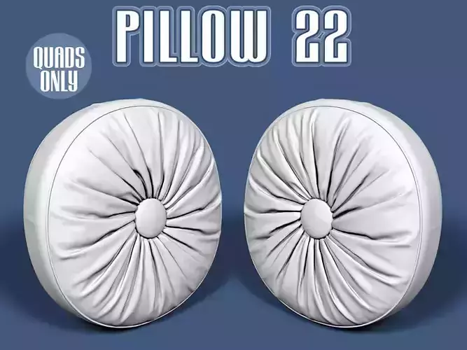 Pillow 22