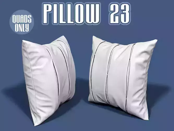 Pillow 23
