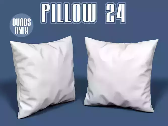 Pillow 24