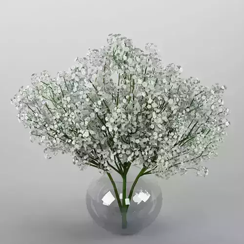 Ornamental plant  19  Baby breath spray