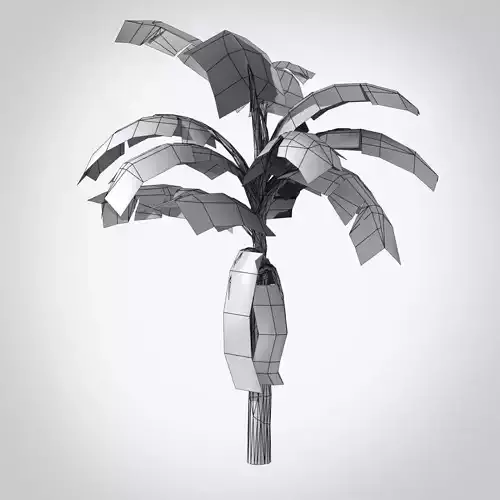 Banana Tree 3D Model Low-poly 3D model
