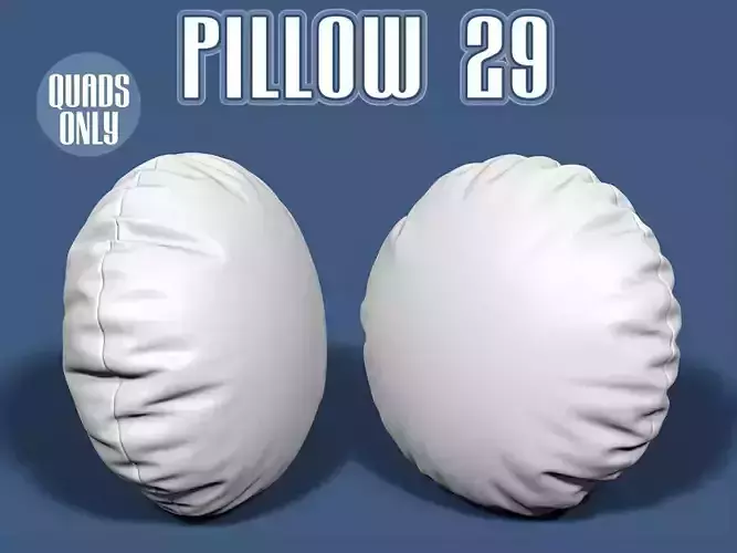 Pillow 29