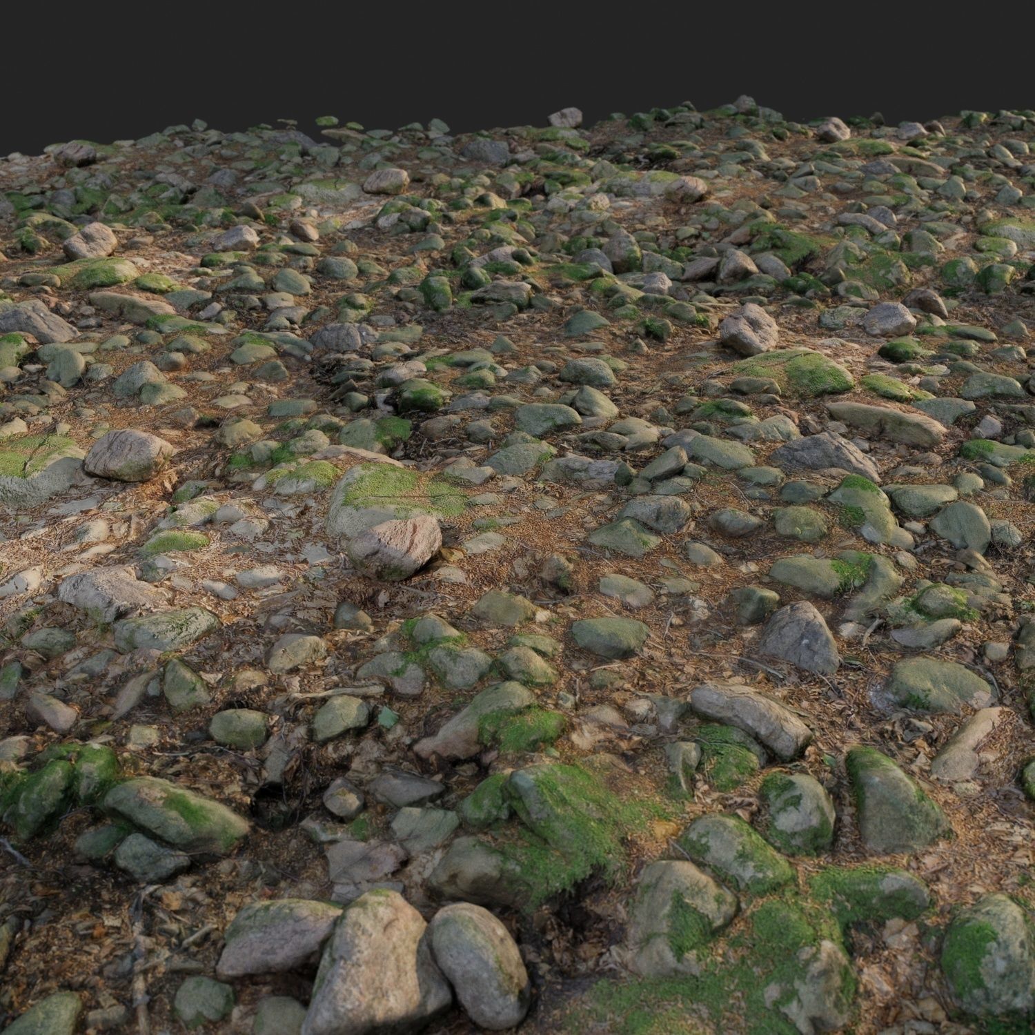 3d scanned nature stone 017 Low-poly 3D model_1