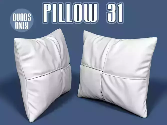 Pillow 31