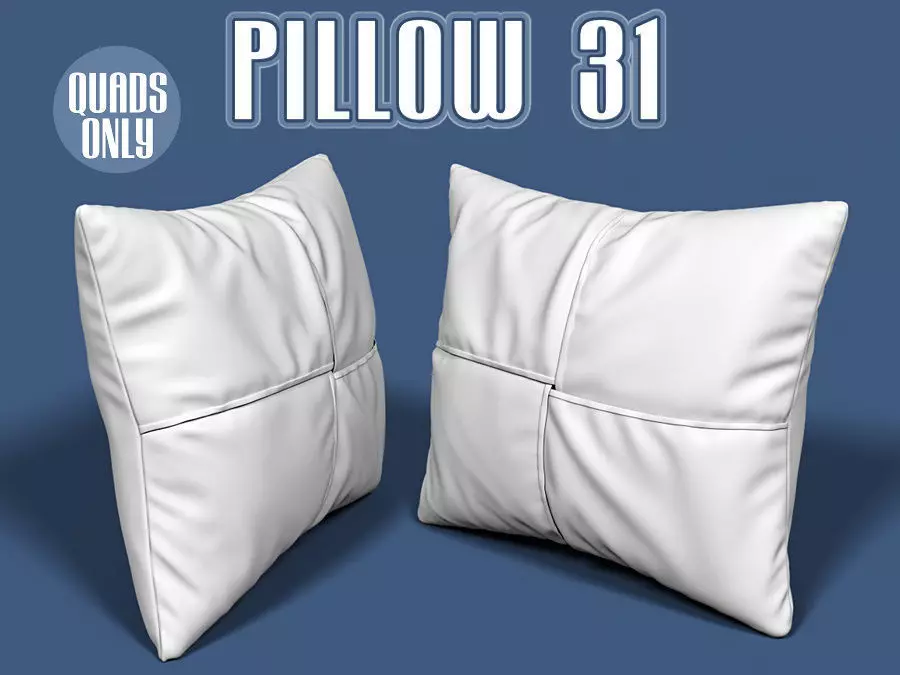 Pillow 31 3D model_0