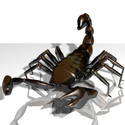 Scorpion Low-poly 3D model_8