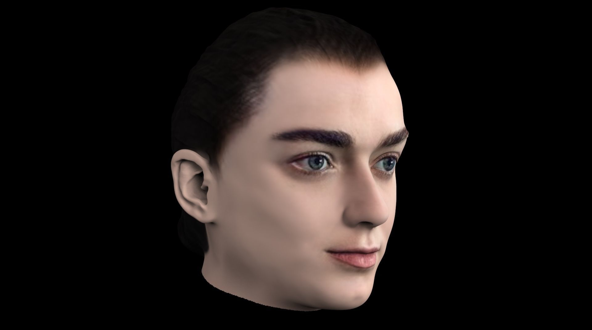 Arya Stark Game of Thrones 3D model_1