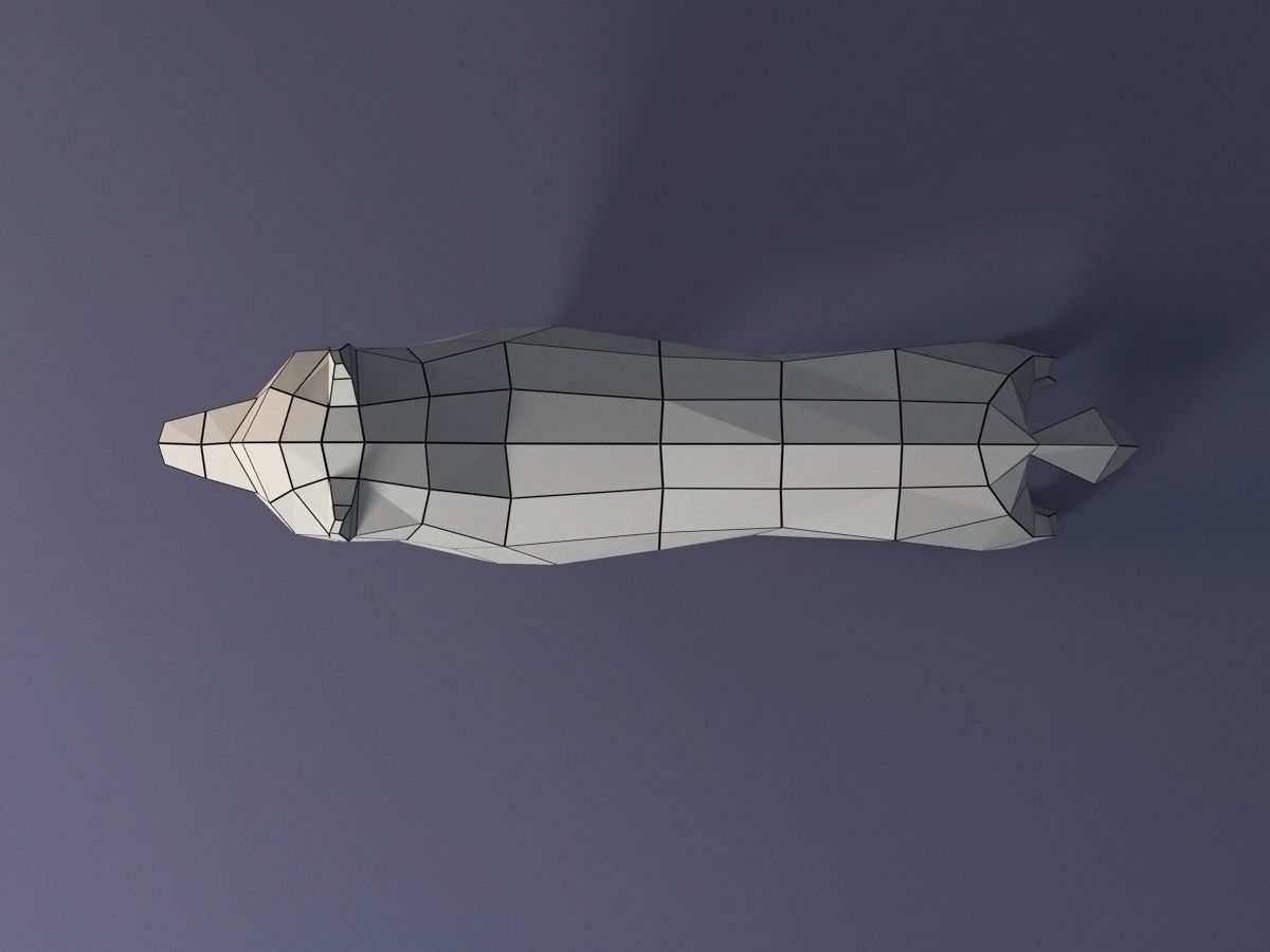 Low Poly Dog Husky Low-poly 3D model_4