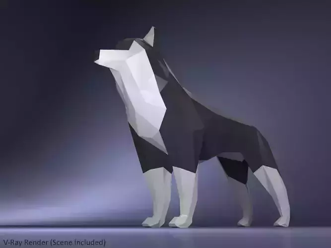 Low Poly Dog Husky Low-poly 3D model