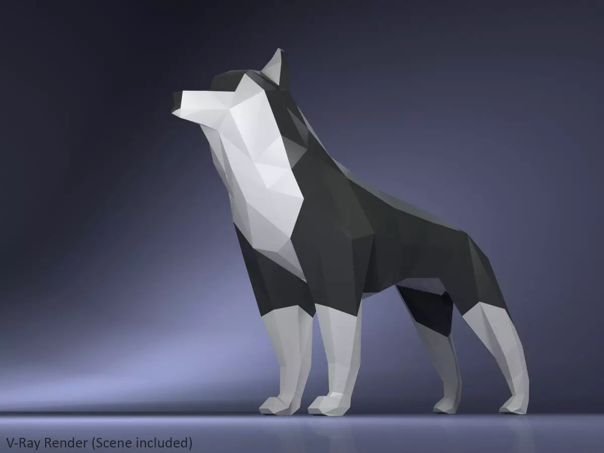 Low Poly Dog Husky Low-poly 3D model_0