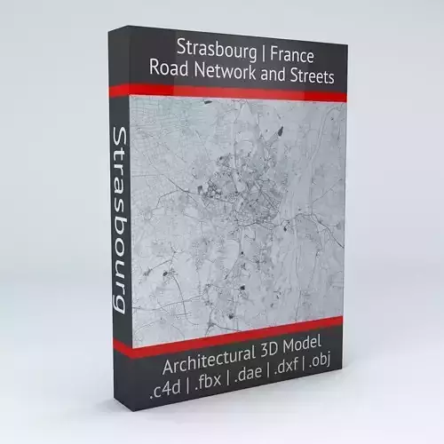 Strasbourg Road Network and Streets 3D model