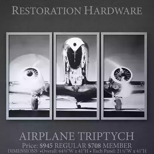 RH AIRPLANE TRIPTYCH 3D model