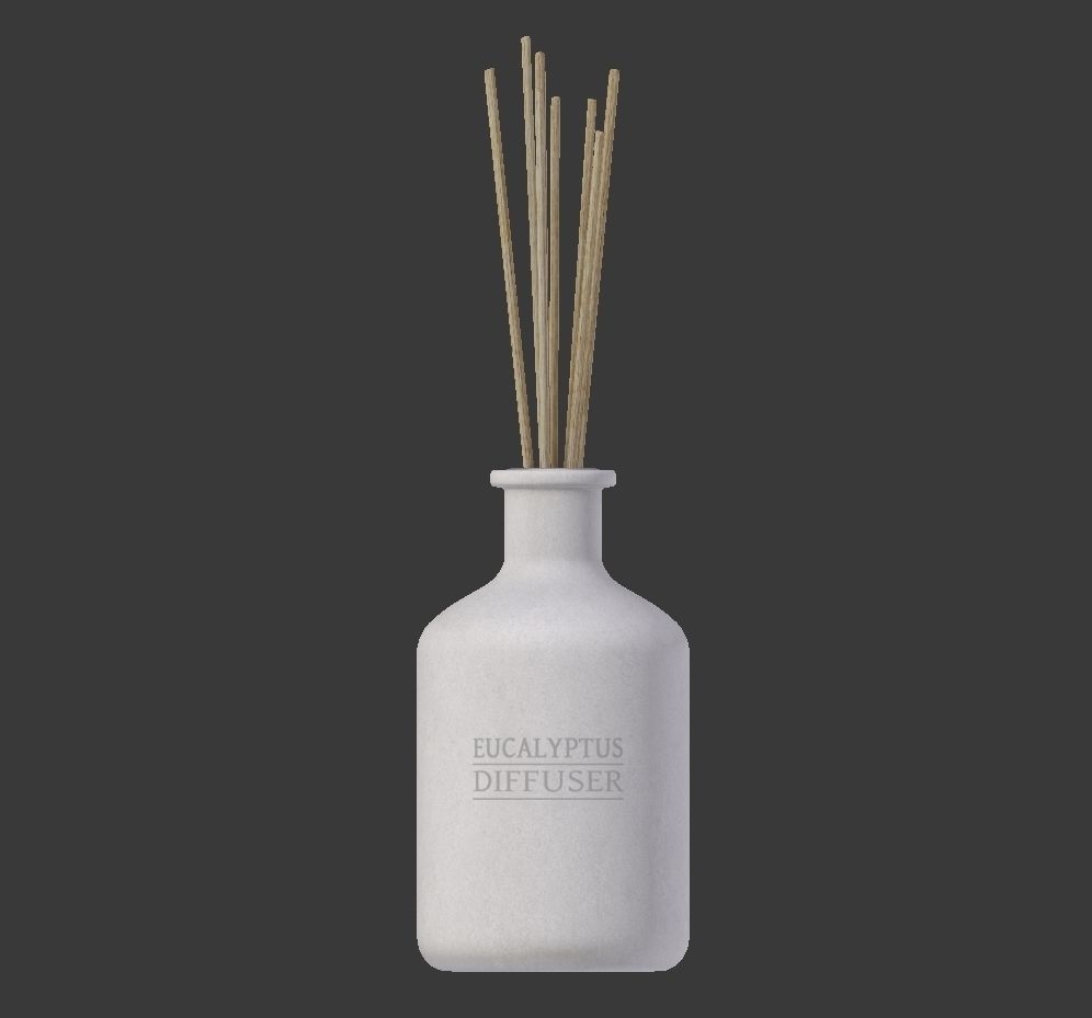 Eucalyptus Diffuser with Sticks- Decor Object 3D model_3