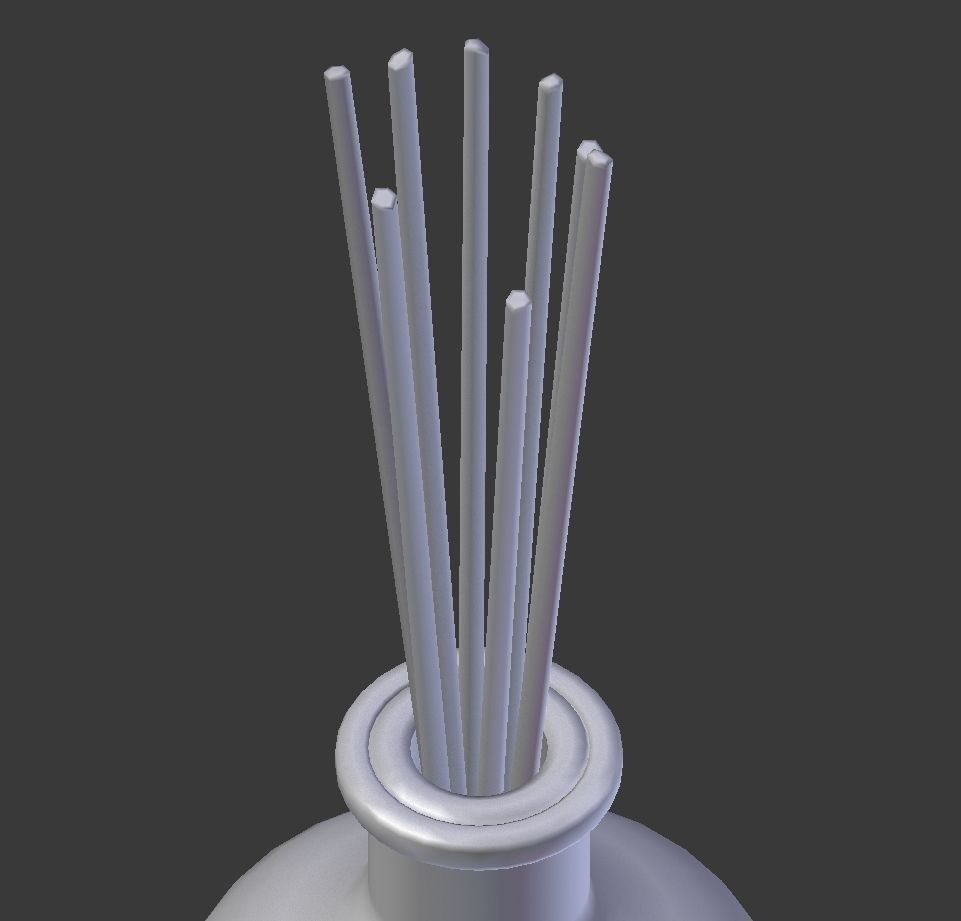 Eucalyptus Diffuser with Sticks- Decor Object 3D model_4