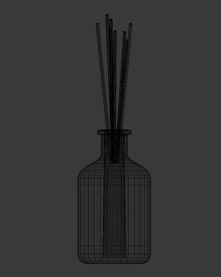 Eucalyptus Diffuser with Sticks- Decor Object 3D model_8