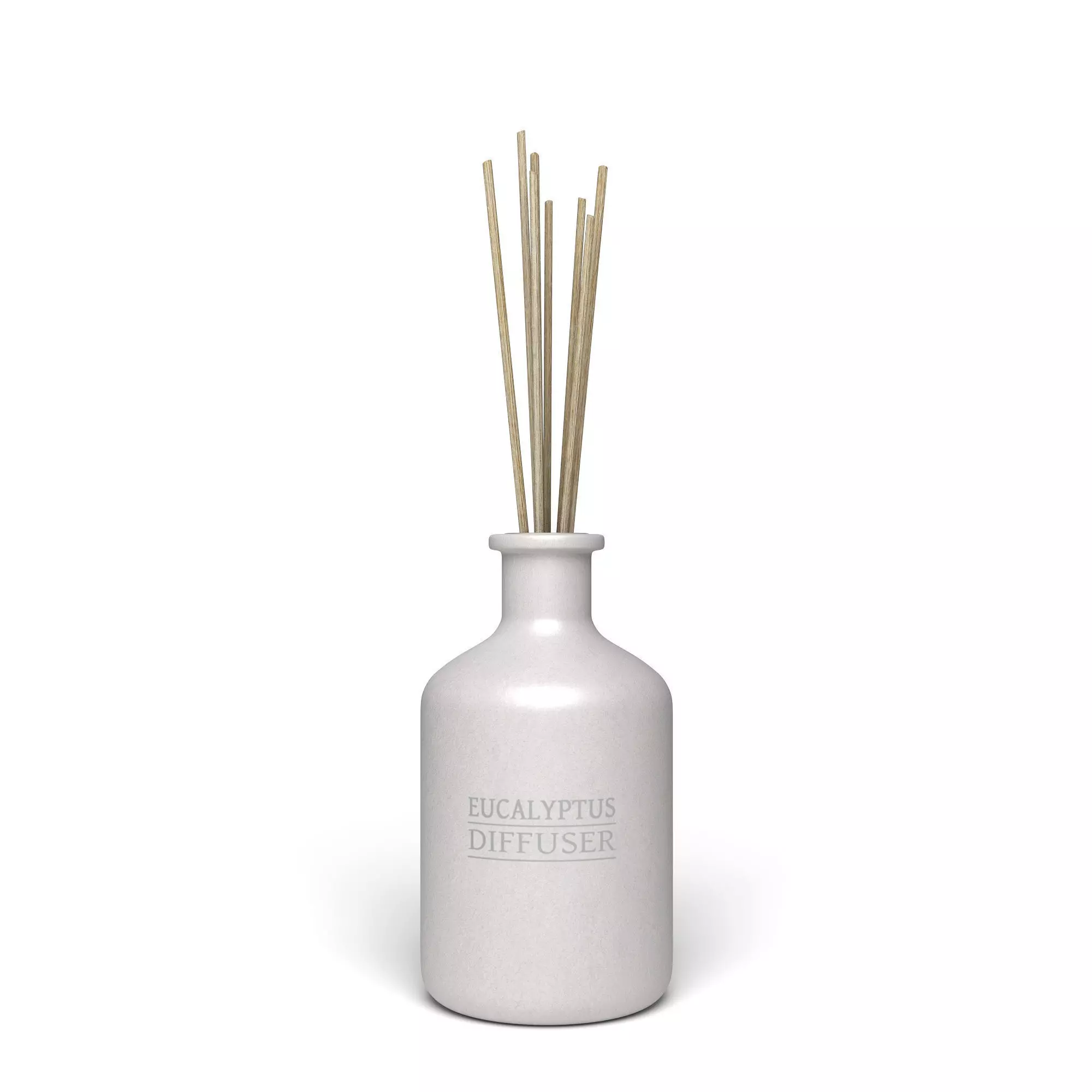 Eucalyptus Diffuser with Sticks- Decor Object 3D model_0
