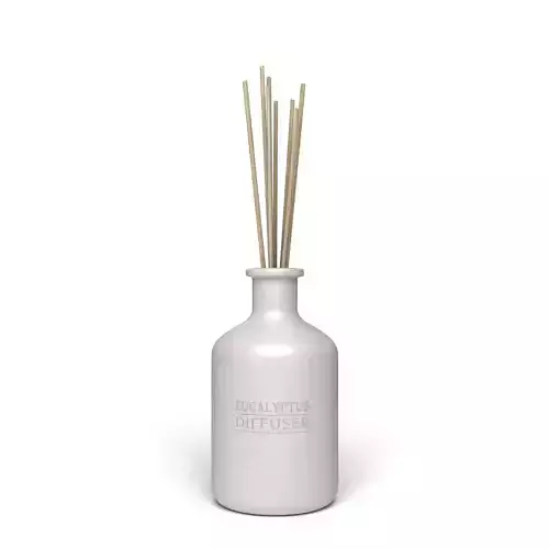 Eucalyptus Diffuser with Sticks- Decor Object 3D model