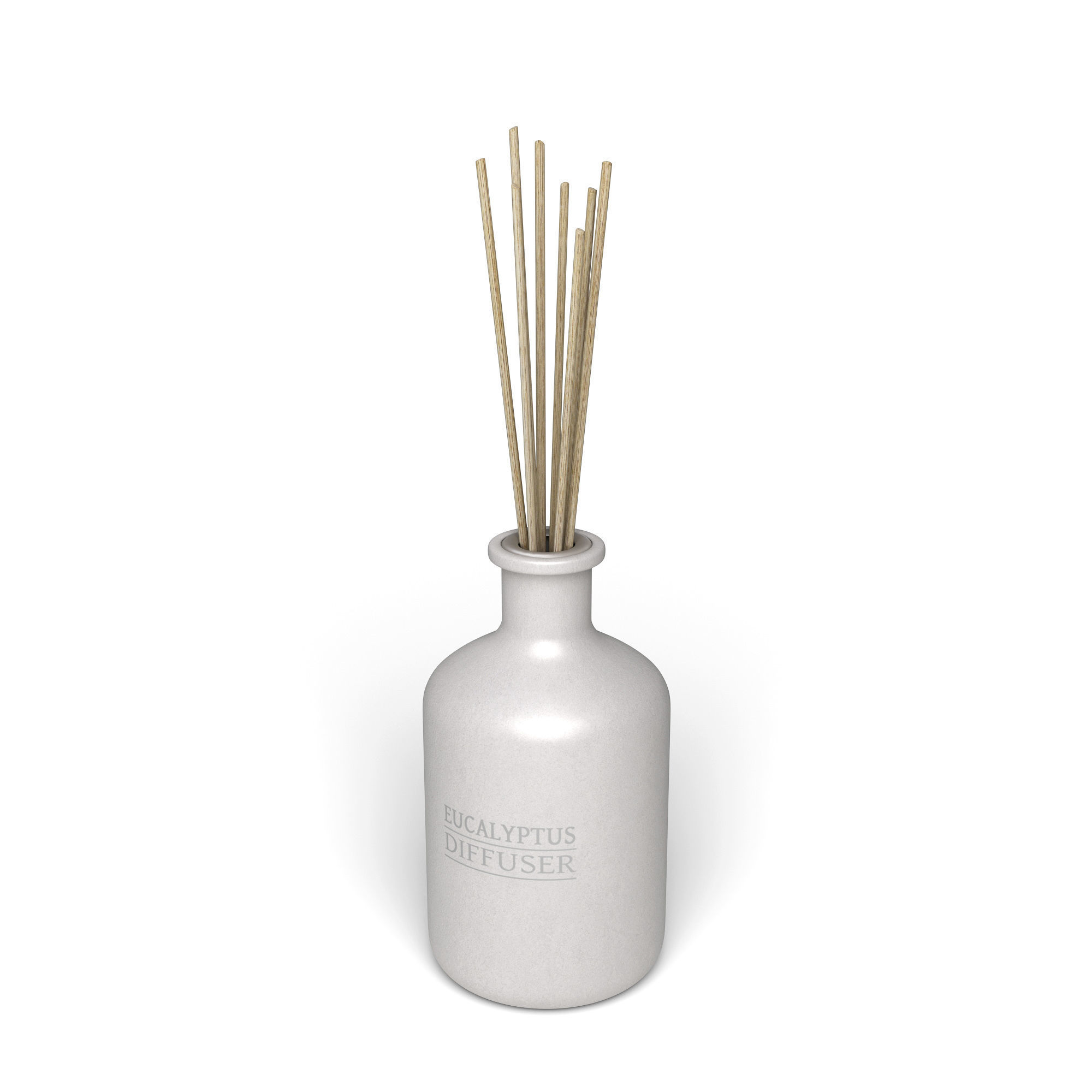 Eucalyptus Diffuser with Sticks- Decor Object 3D model_1