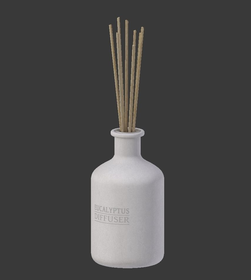 Eucalyptus Diffuser with Sticks- Decor Object 3D model_2