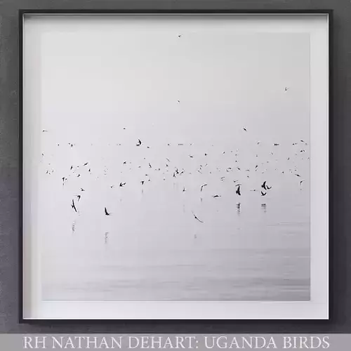 RH NATHAN DEHART UGANDA BIRDS