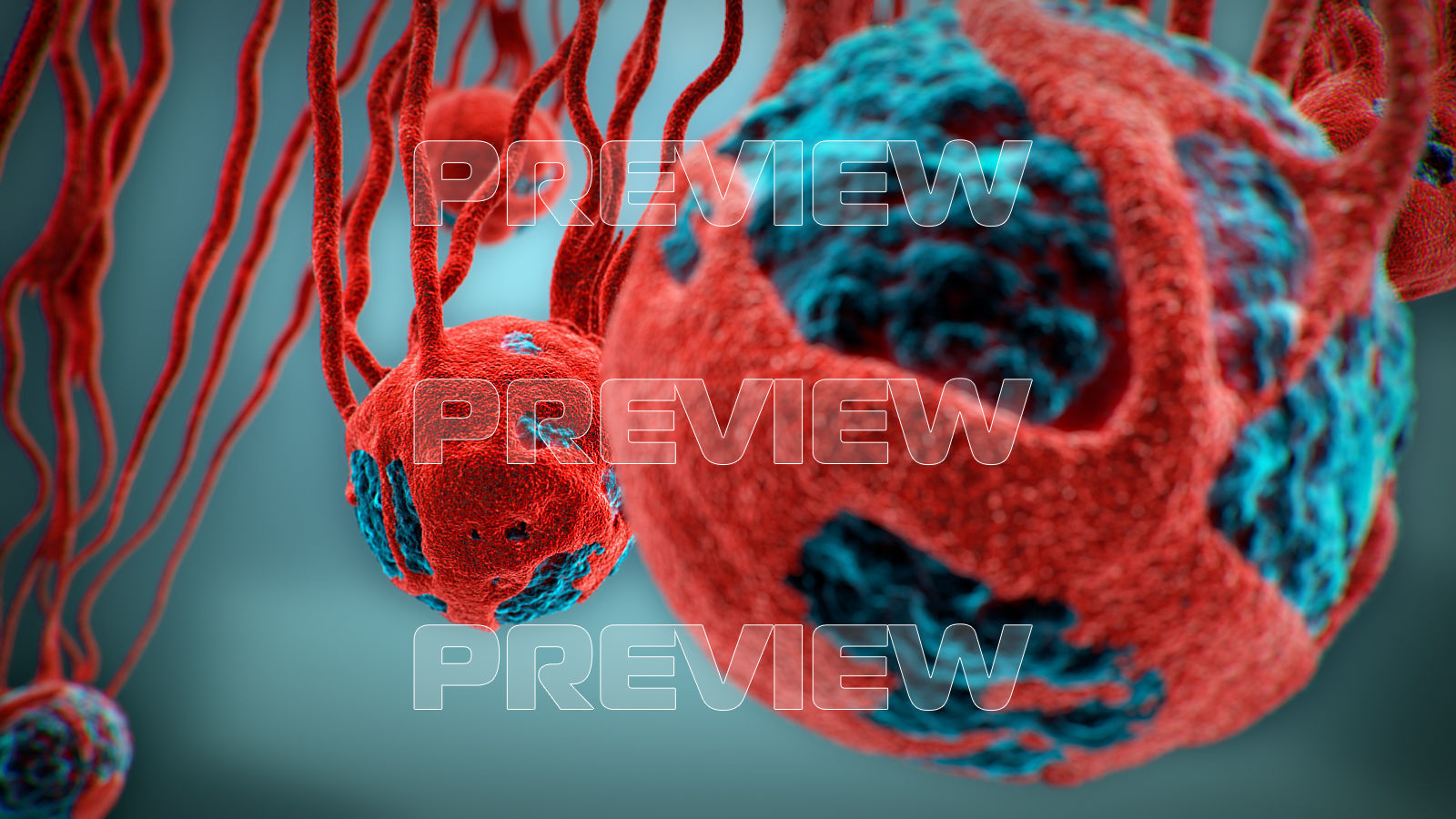 Cancer Growth 3 Static And Animated Obj Sequence 3D model_9