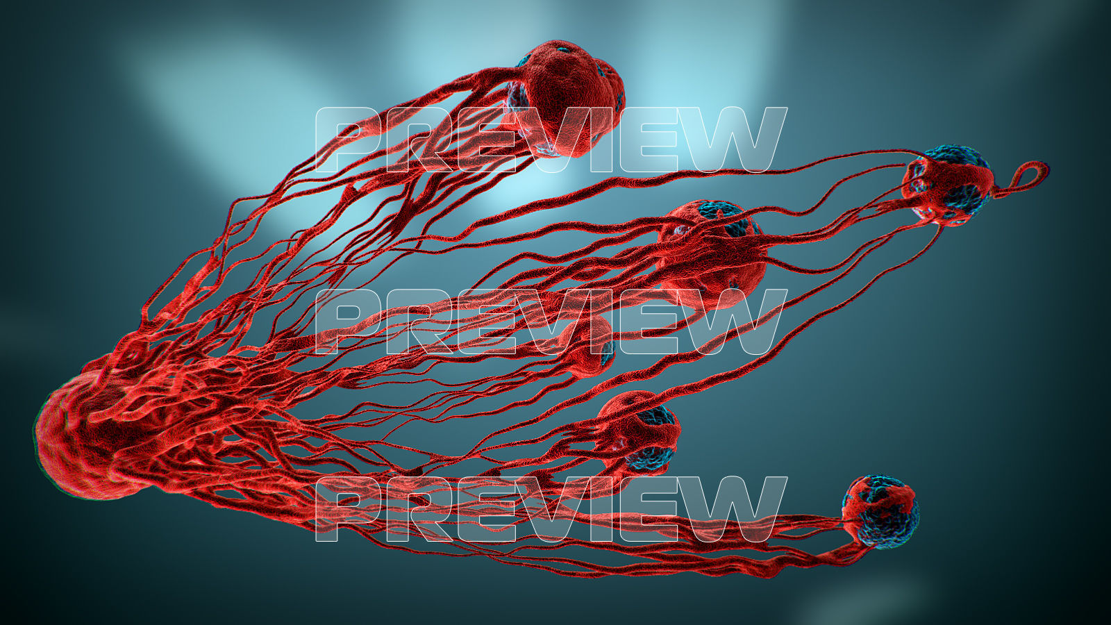 Cancer Growth 3 Static And Animated Obj Sequence 3D model_6