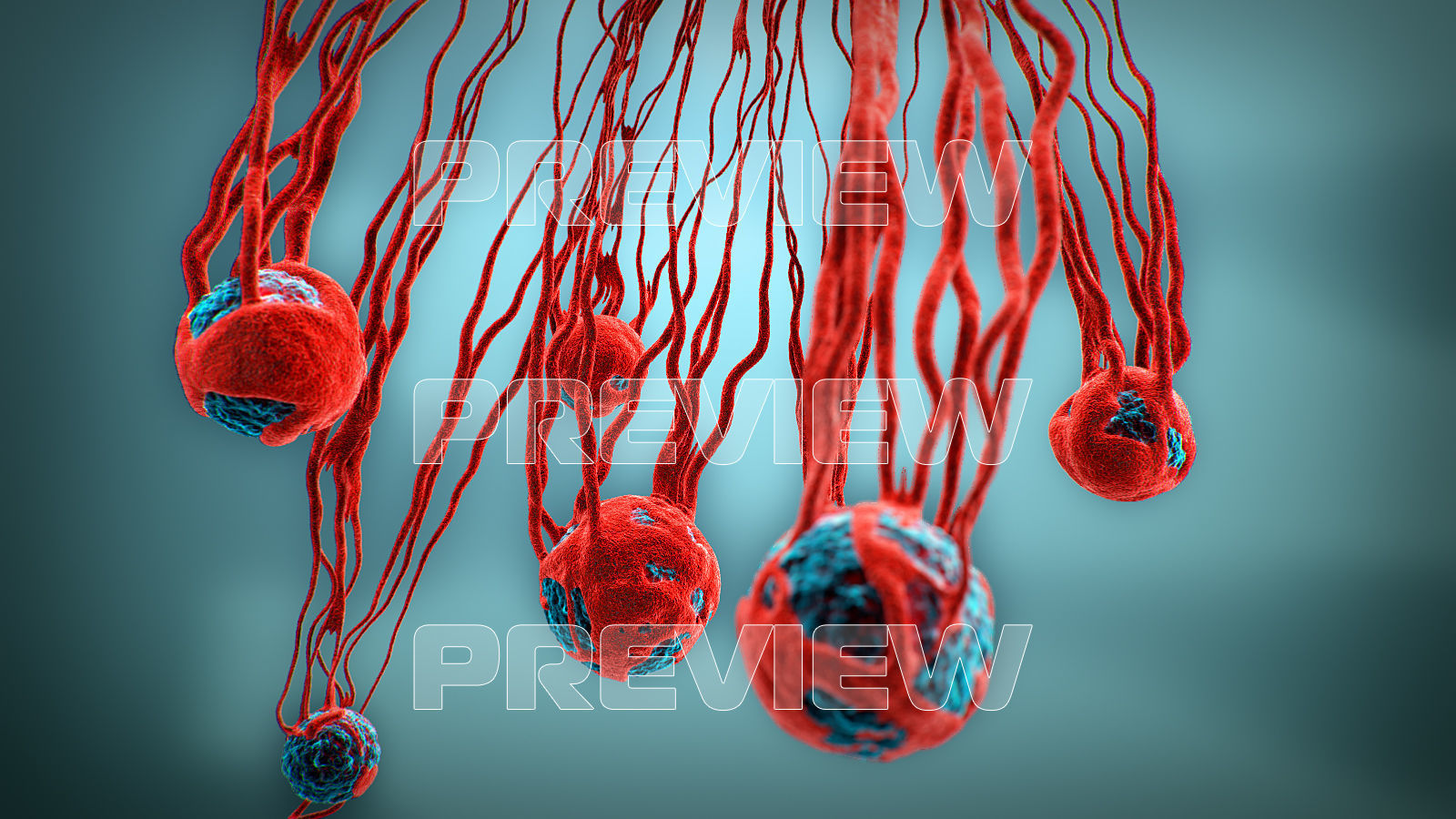 Cancer Growth 3 Static And Animated Obj Sequence 3D model_4