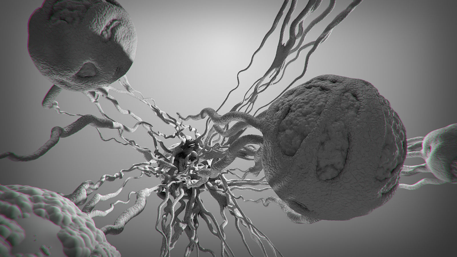 Cancer Growth 3 Static And Animated Obj Sequence 3D model_22