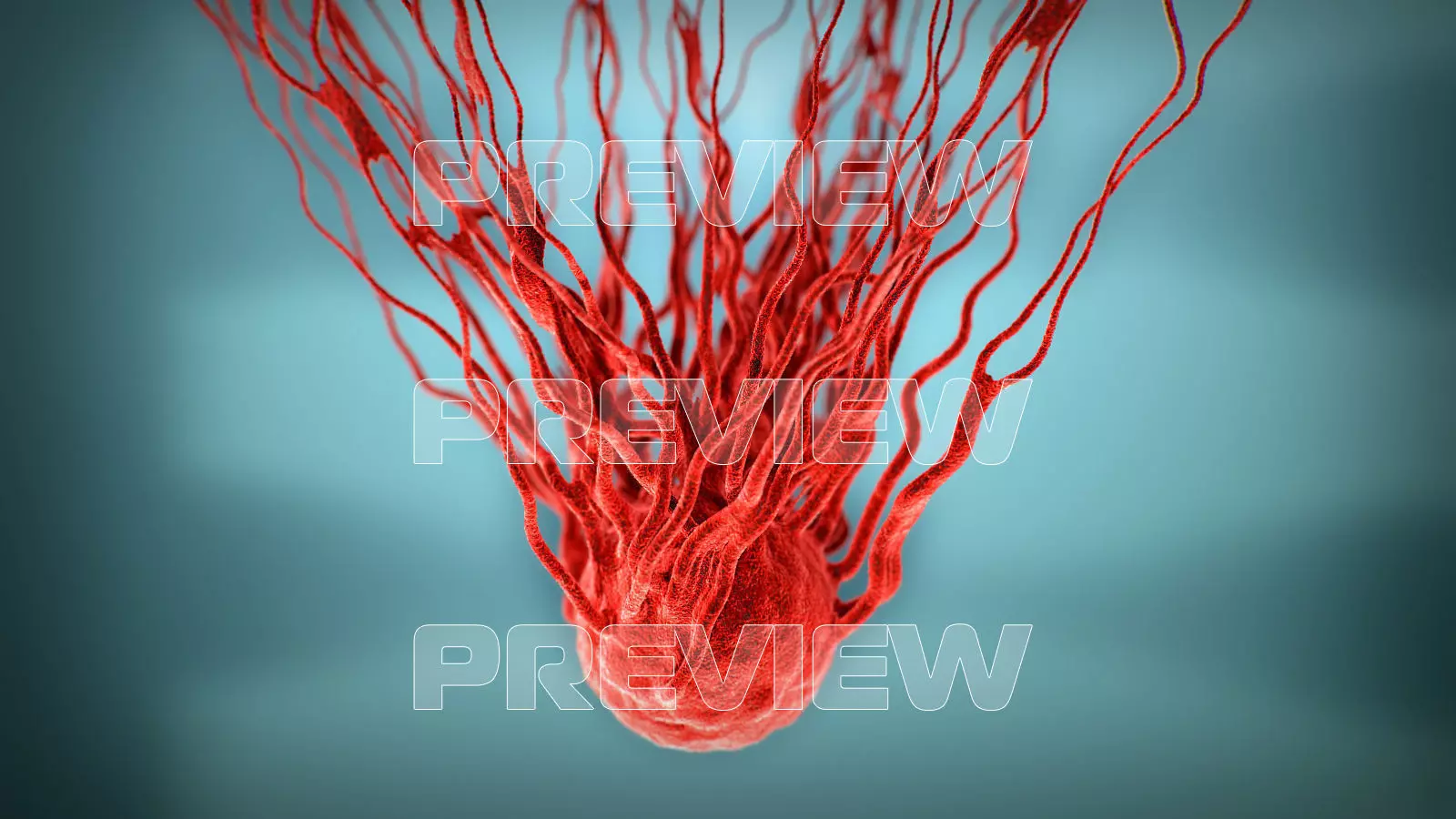 Cancer Growth 3 Static And Animated Obj Sequence 3D model_0