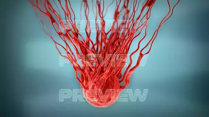 Cancer Growth 3 Static And Animated Obj Sequence 3D model