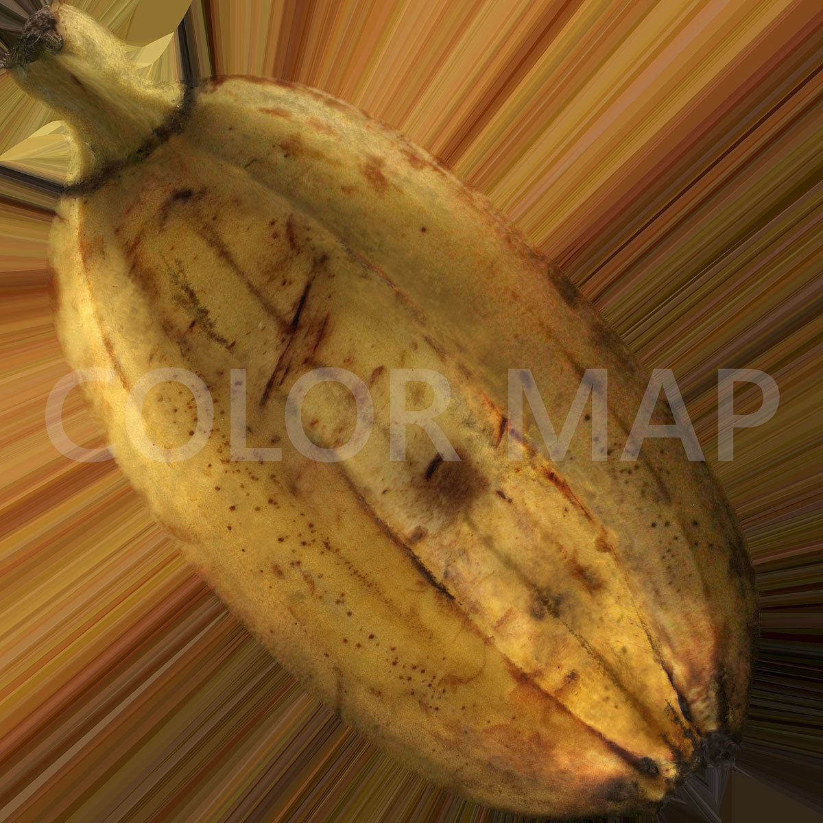 Banana Free 3D model_4