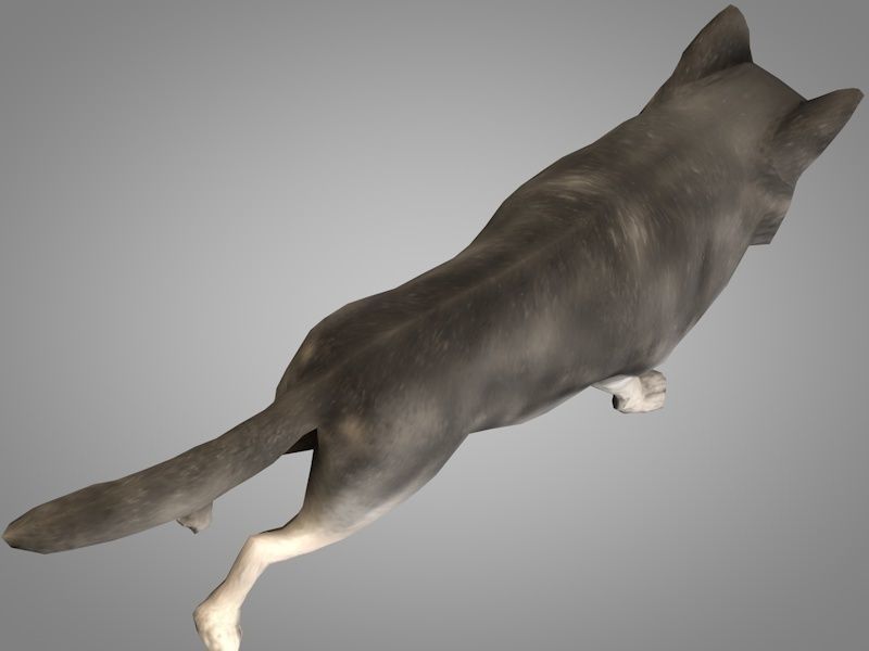 Wolf or Werewolf Low-poly 3D model_2