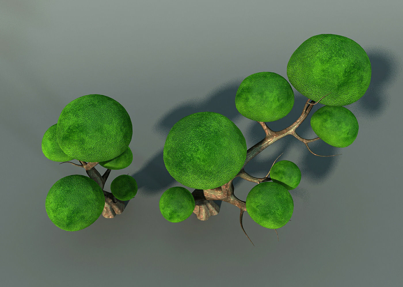 Cartoon Tree Low-poly 3D model_5