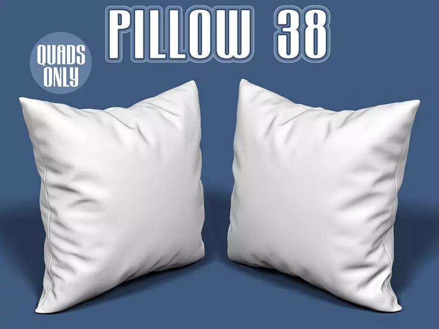 Pillow 38 3D model_0