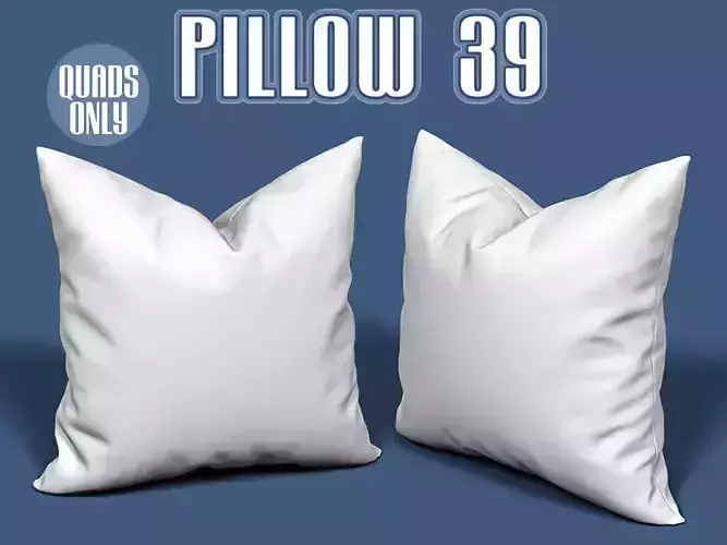 Pillow 39