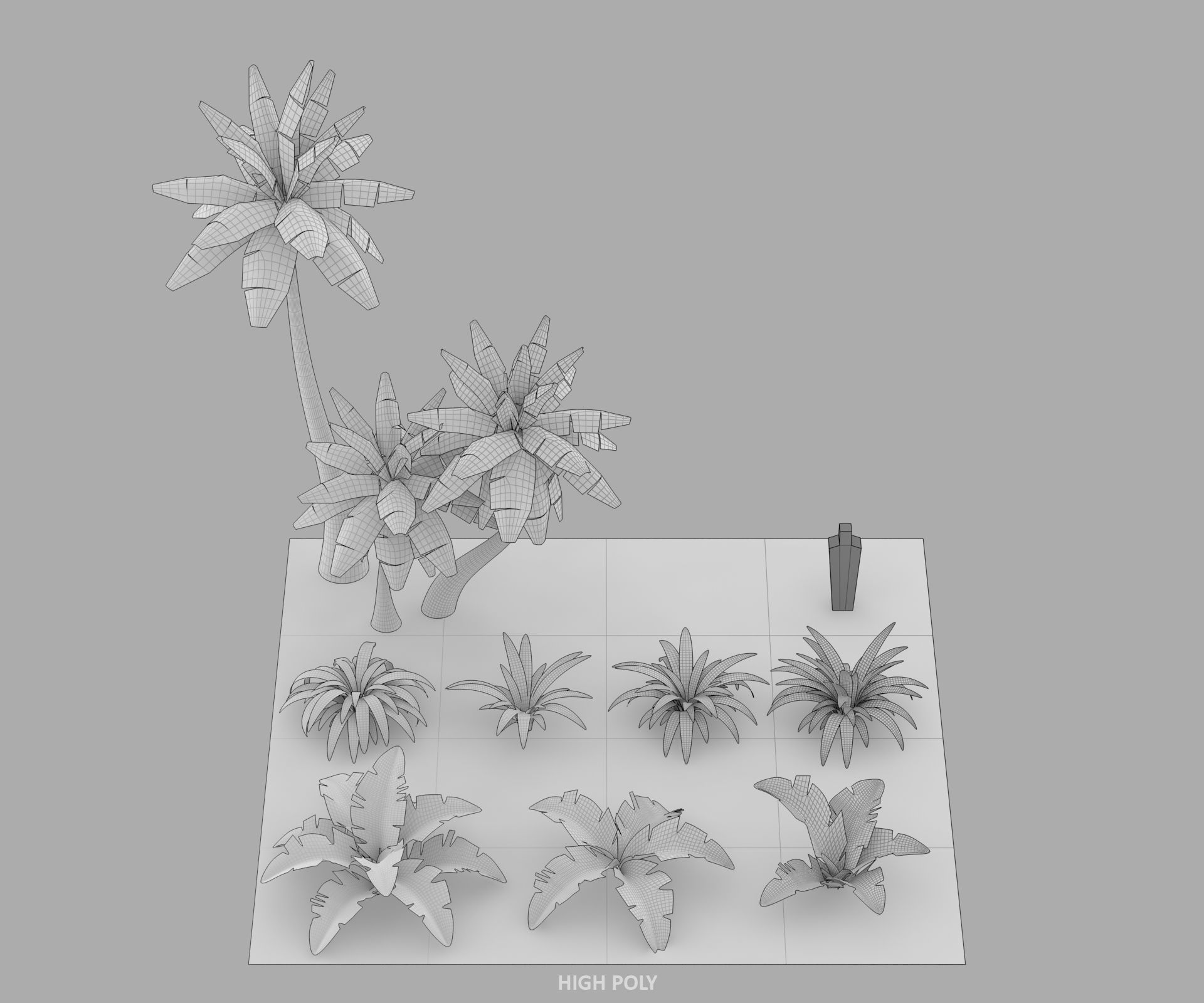 Cartoon Oasis Plants Low-poly 3D model_3