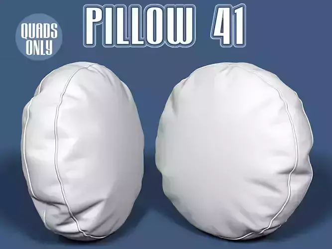 Pillow 41