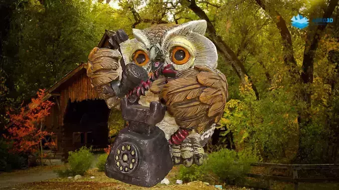 Owl Photogrammetry