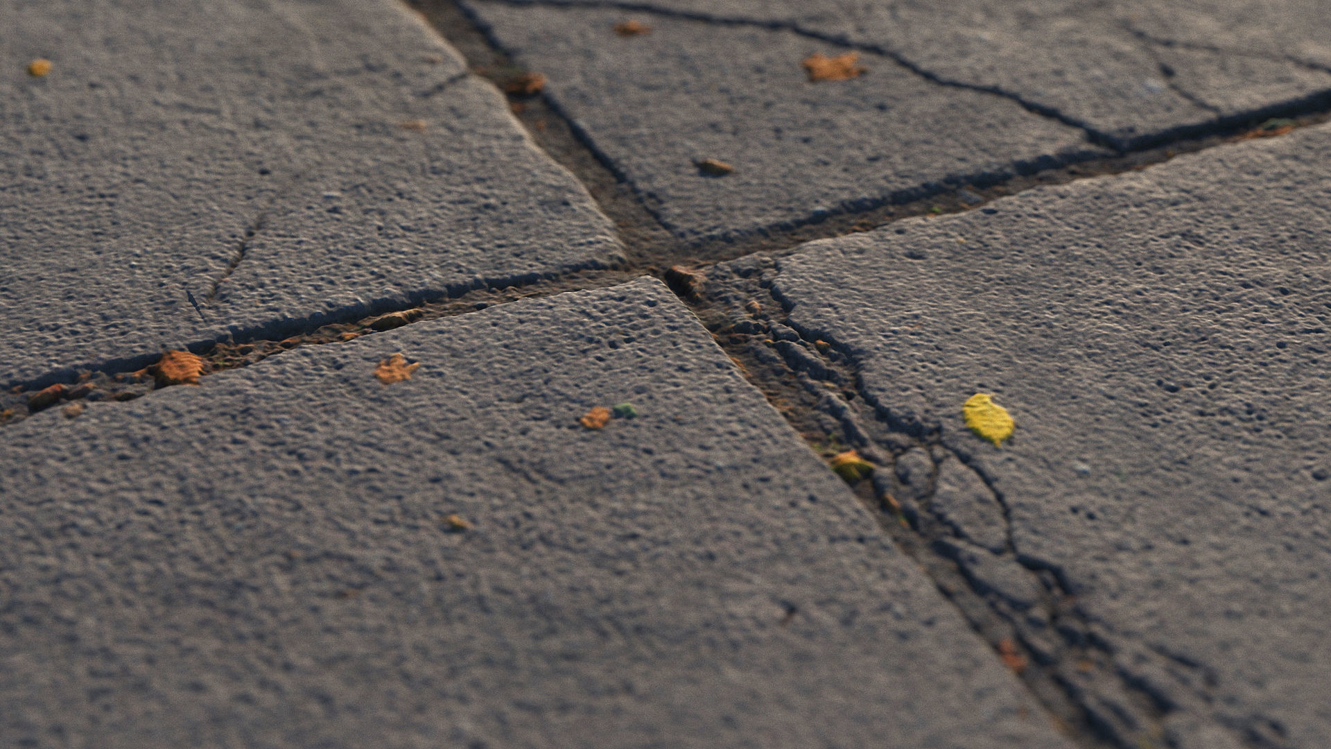 Photoscanned pavement texture collection 3D model_38
